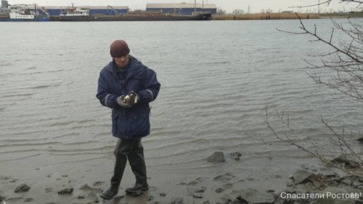 ������� ����� � ��� ���� ������ �� ����