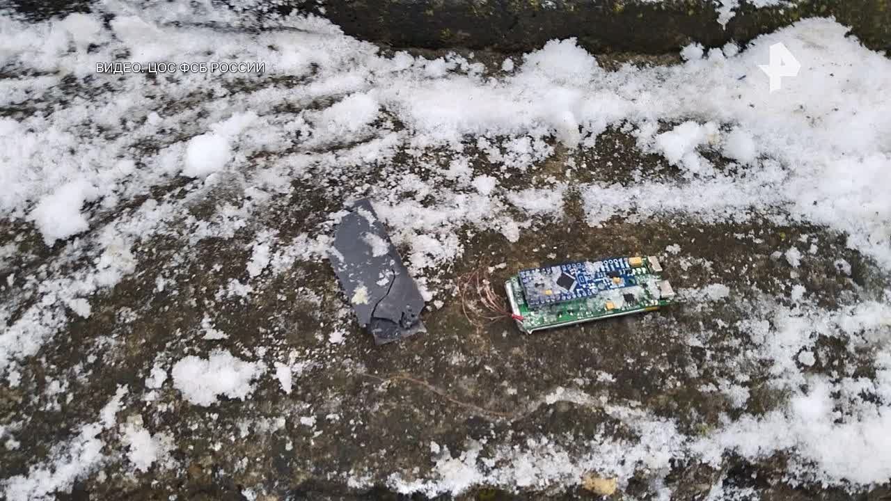 Видео с места задержания 18-летней жительницы Краснодарского края, которая хотела подорвать машину офицера в Ставрополе