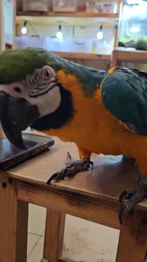 �� ��� ���������? � ������� ���� �� ����� ����� ��� ��������!