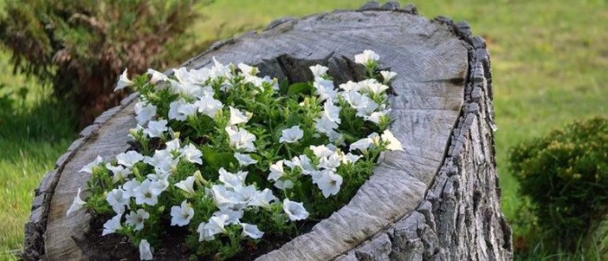 ��� ���������� ������ ���� � ��������� �������