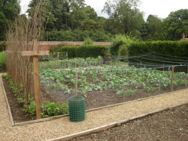 ��� ������� ��������� ����� ��� ��������: 5 ������ ������������