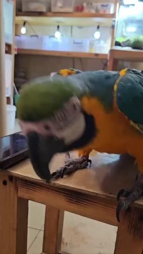 ������� ���� �� ����� ����� ��������� ���������� ����� ��� ������� �������