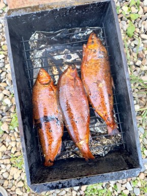 ��� ��������� � ������ ��������: ������� ������������� ����������� ����