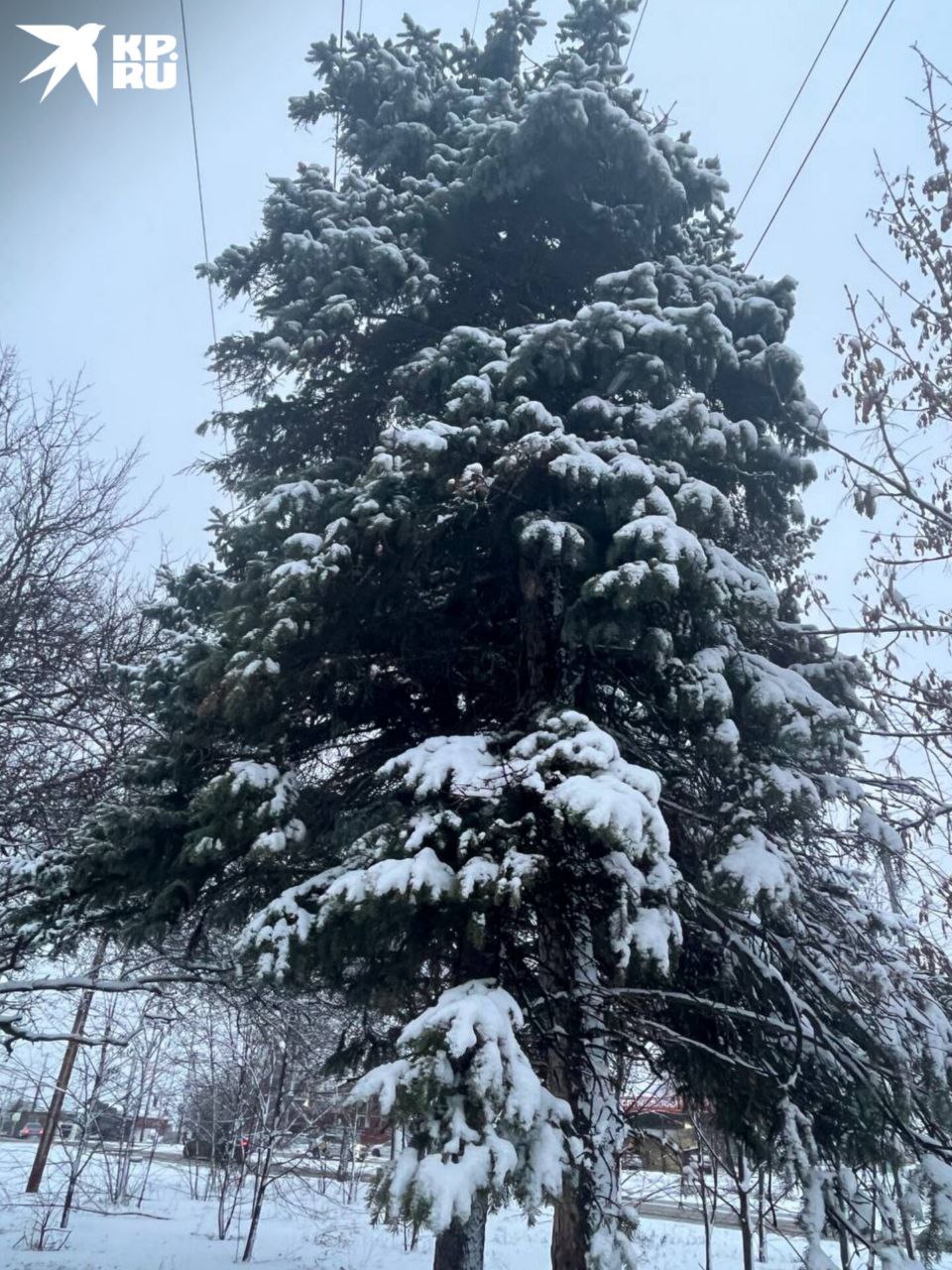 Зарисовки заснеженного Ростова Зарисовки заснеженного Ростова