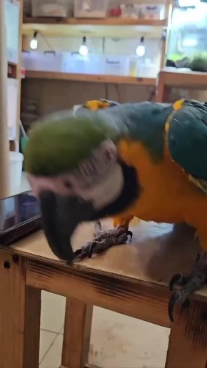 ���������� ����������� �����������!