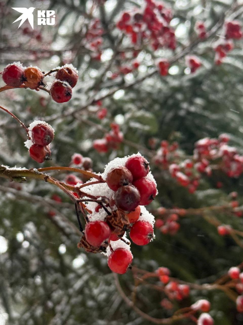 Зарисовки заснеженного Ростова Зарисовки заснеженного Ростова