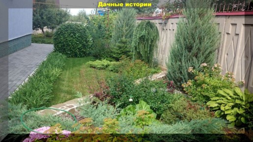 ��� ����������� ������� �������� � ����: ������ ���������