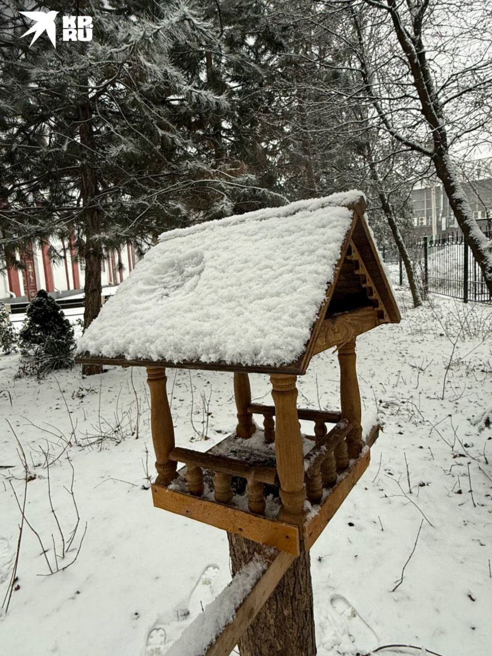 Зарисовки заснеженного Ростова Зарисовки заснеженного Ростова
