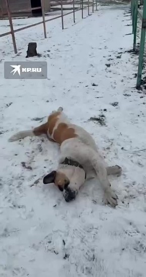 ���������, ������� ������ �� ��������� �����������!