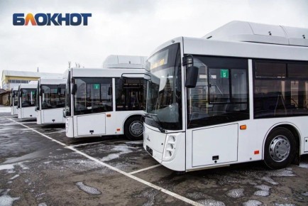 Минимум до весны продолжат работу автобусные маршруты в садовые товарищества в Ростовской области