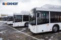 Минимум до весны продолжат работу автобусные маршруты в садовые товарищества в Ростовской области