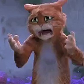 Ростовчанин лишился полмиллиона рублей, пытаясь помочь «знакомой из Китая»