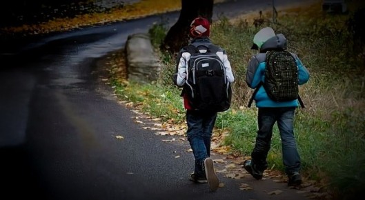 Как определить, к какой школе привязан ваш дом: советы для родителей