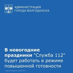 Новогодняя ночь — время чудес, но и период, когда экстренные службы работают на максимуме