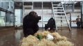 Свидание шимпанзе со снеговиком произошло в Ростовском зоопарке