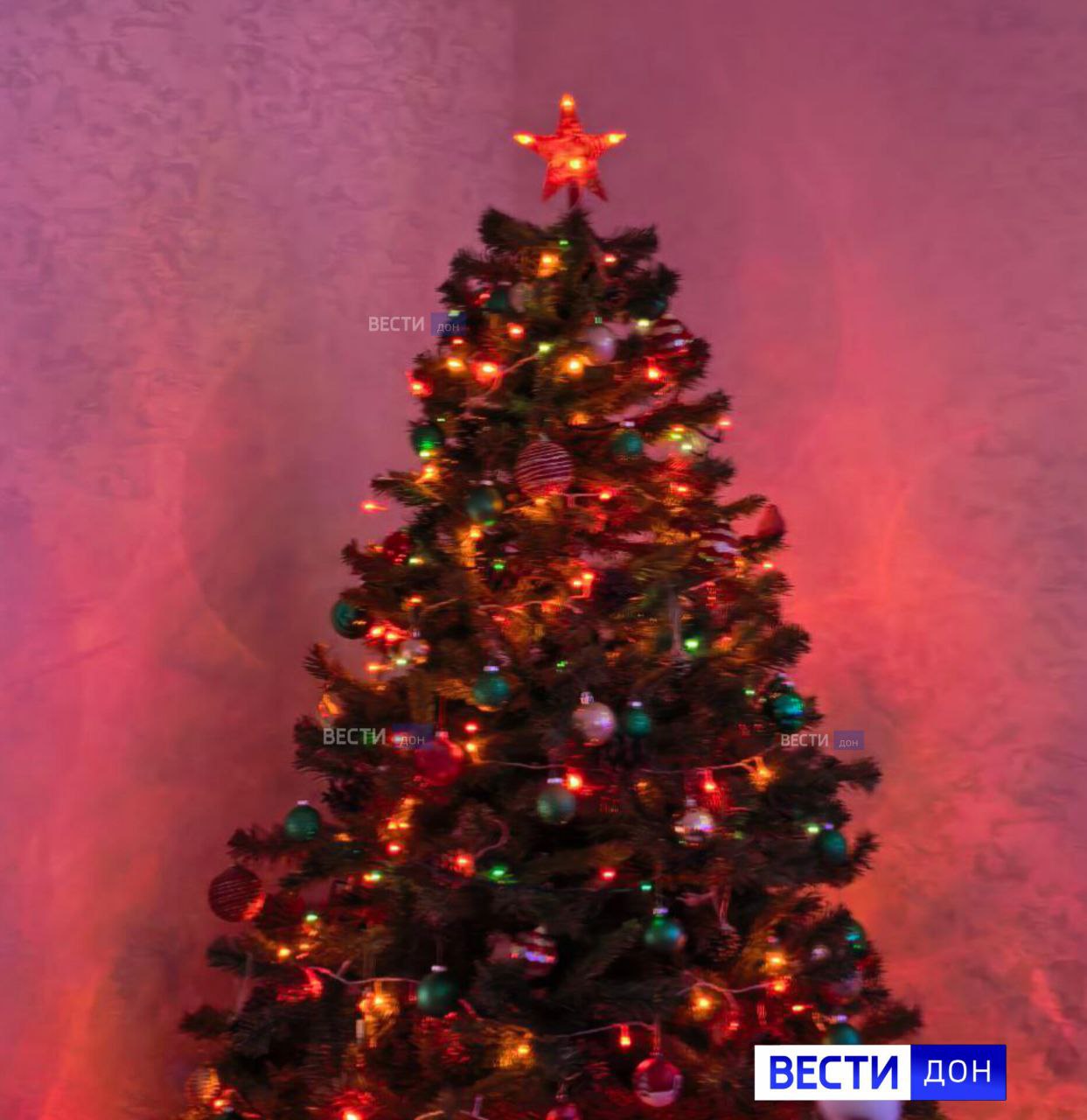 Ну что, 2026-й полноправно вступил в свои права