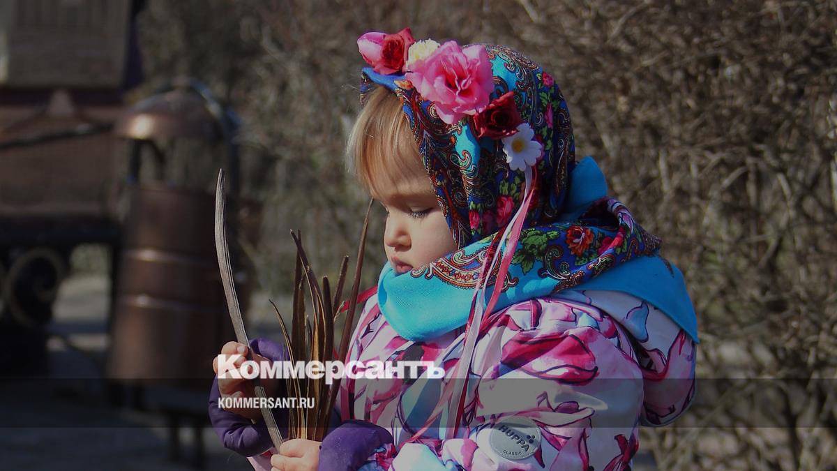 Губернатор Дона возглавил совет по развитию Старочеркасской