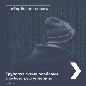 Как мошенники вербуют жертв, предлагая работу, смотрите в карточках