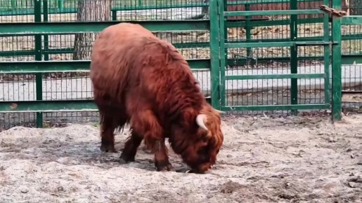 ���������� ����� �������� � ���������� �������