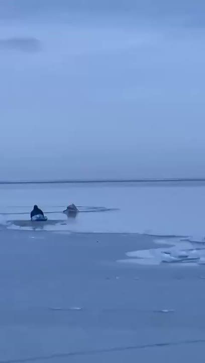 ��������� � ��� �������� ������ � ������������ ������