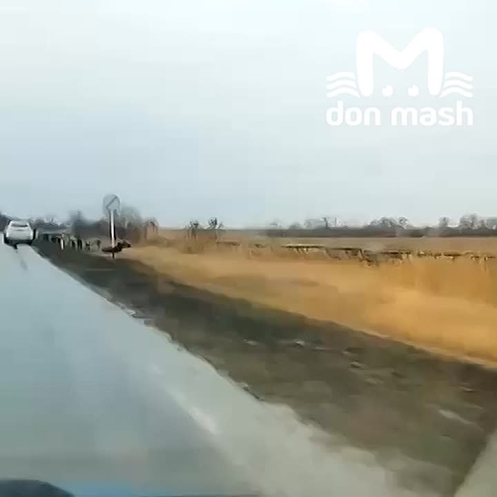 Четырёхлетний ребёнок и женщина погибли в аварии на трассе в Ростовской области