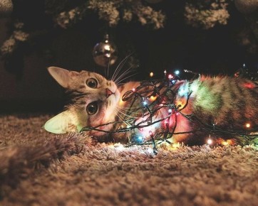 #��������_���. ����� ������� �� ����� ��� ��� ������� ������� ��� ������? ���������� ������ ����/������ ���� �������� ������ � MAX