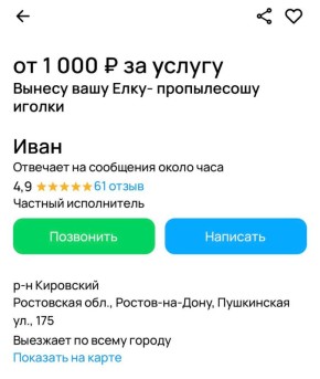 В Ростове под конец новогодних праздников жители предлагают необычные услуги для заработка