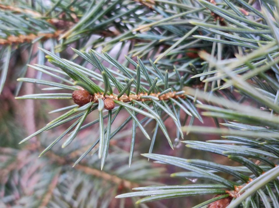 ���� ����� ���������� ���� � �������? 18 ������ 2026 ���� �� 11 ��������� ������ ����� �������������� ���� ����������� ���������� ��������