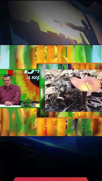 ��� �� ����� ������ � �������� ����� ����?