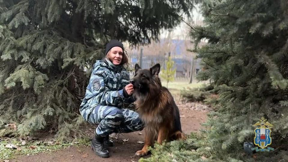 �������� � �� ������������ ������ �������������� � ������� �������� �����������