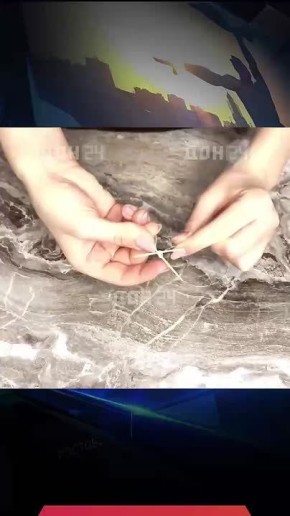 ������ ������ ������ ����