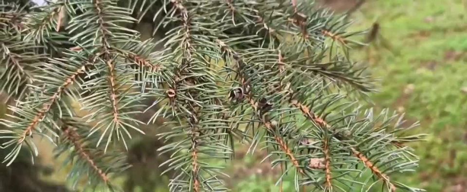 �� �������� � ��������� �������� ������� �������