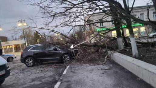 ������ ������� �� ���������� �������� �� ������� � ������������� ������ � �������������