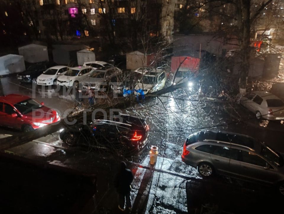 �� ������� ������� ������ ��������� ��������� ����������� � �������� ������� �������� ���������