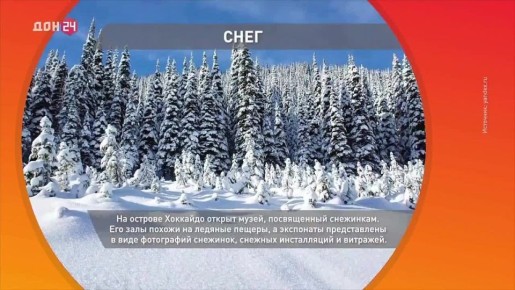 Зимнее чудо: почему снег делает мир тише