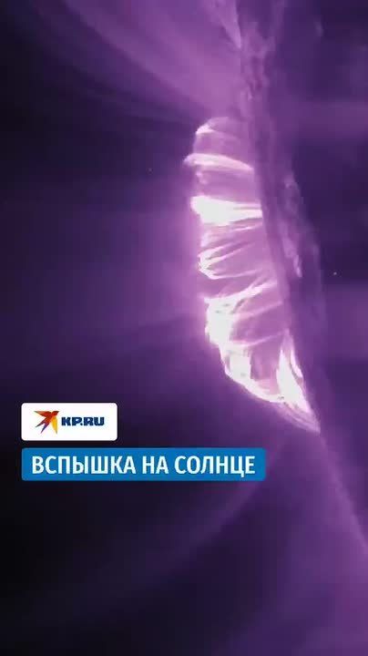 ������ ������� ������� �� ������ � ���� ����! ������ ����� �� ����� ������ ������� �����