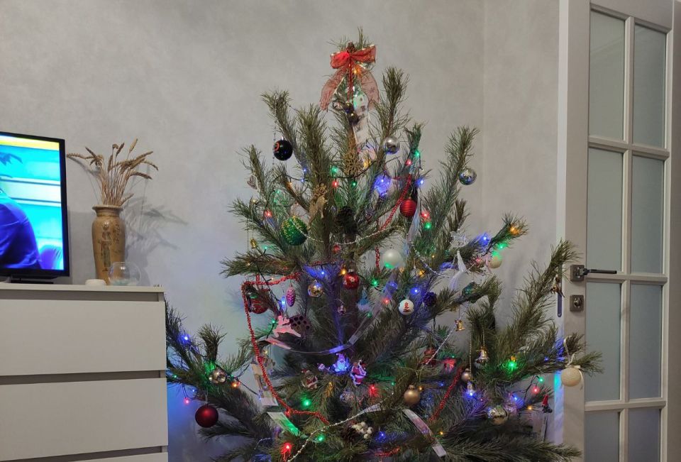 �����-������� 2026� ������� � �������