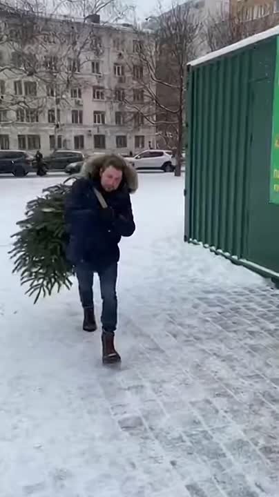 С 18 января в Ростове заработают 8 пунктов приёма ёлок