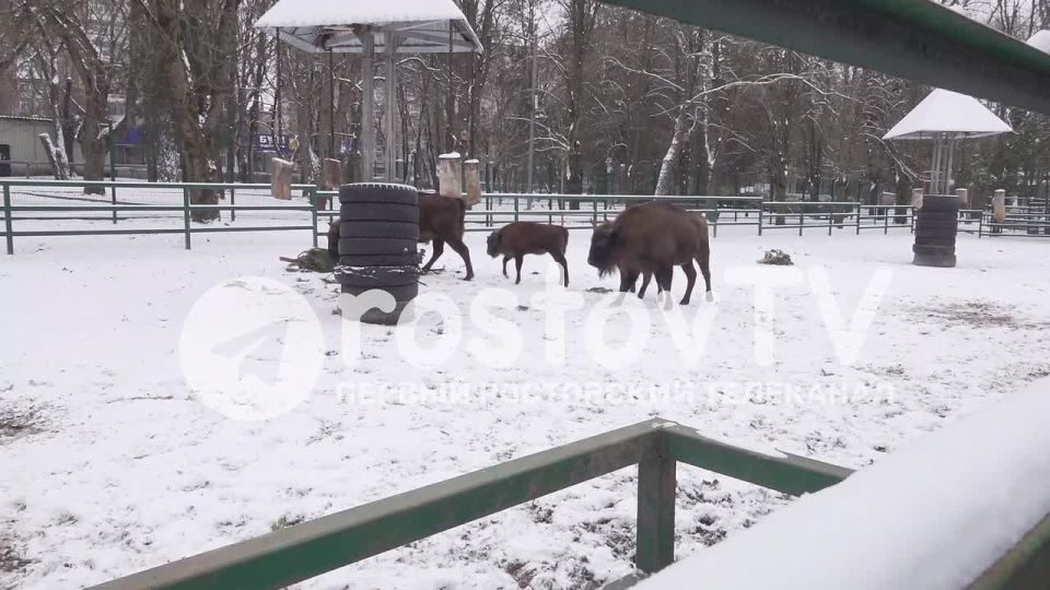 ����-������� � ����!. ���� ��� ���������� ������� ��� �����������, �� ���������� ����� ������ ������� �� ��������� ���������! � �������� ������������� ���� ������ ����, � ��������� ������� �� ����� ��� ������ ��� ��� ��� �...