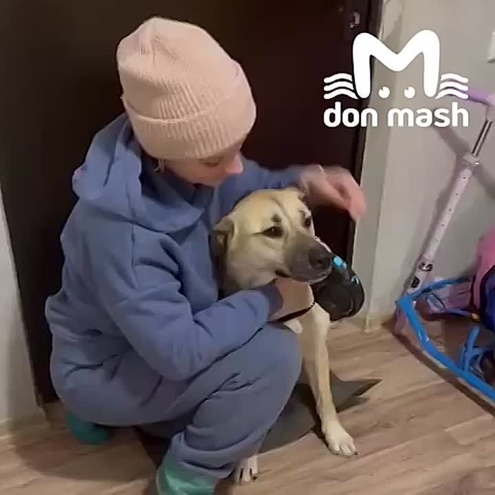 ������ � ������������ ������� ������������� �������� � ����������