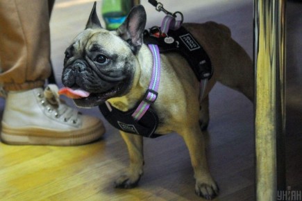 ��� ������ ����� ����� ������ � �� ����������� �������������: ����� ������������