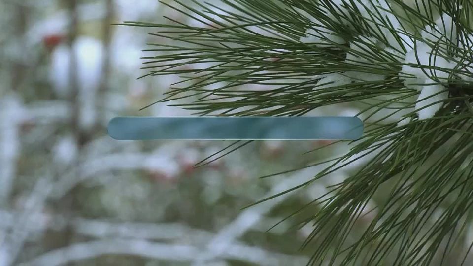 ����, ����� � ��������: ����� ������ ������������ ��������� ��������?