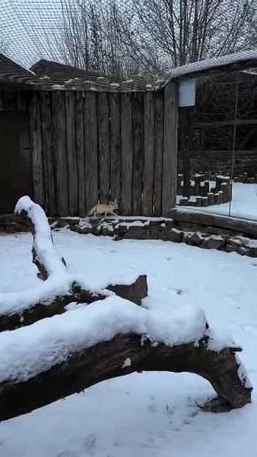 ���� ���������� ������� �������� ������, � ���������� ������� ��������� ��������� ����