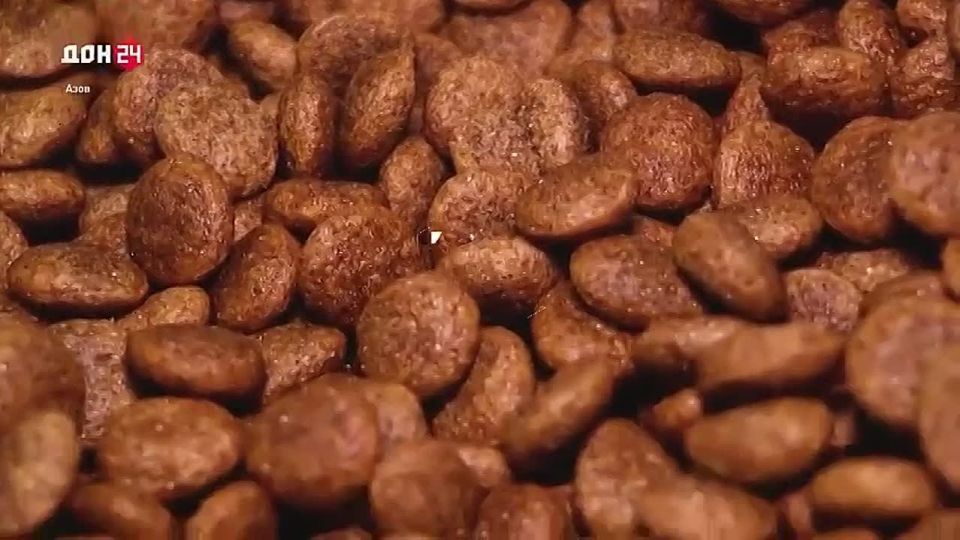 ����� ��� ��������: ��� ��������� ���������� �����?