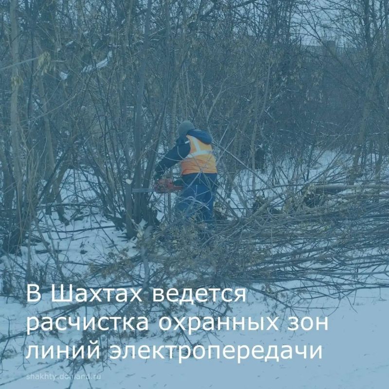 Обрезка веток под ЛЭП на улице Волошиной-работы под контролем