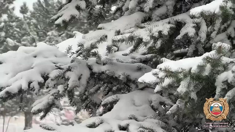 �� ������ ������������ � ���� � �����