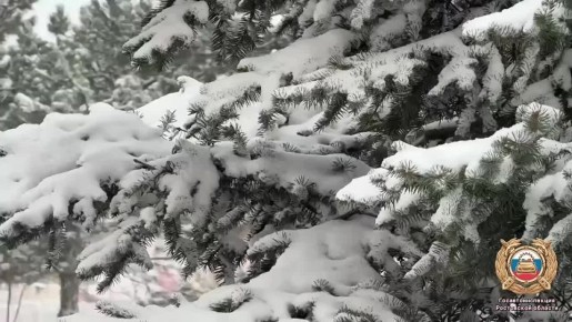 �� ������ ������������ � ���� � �����