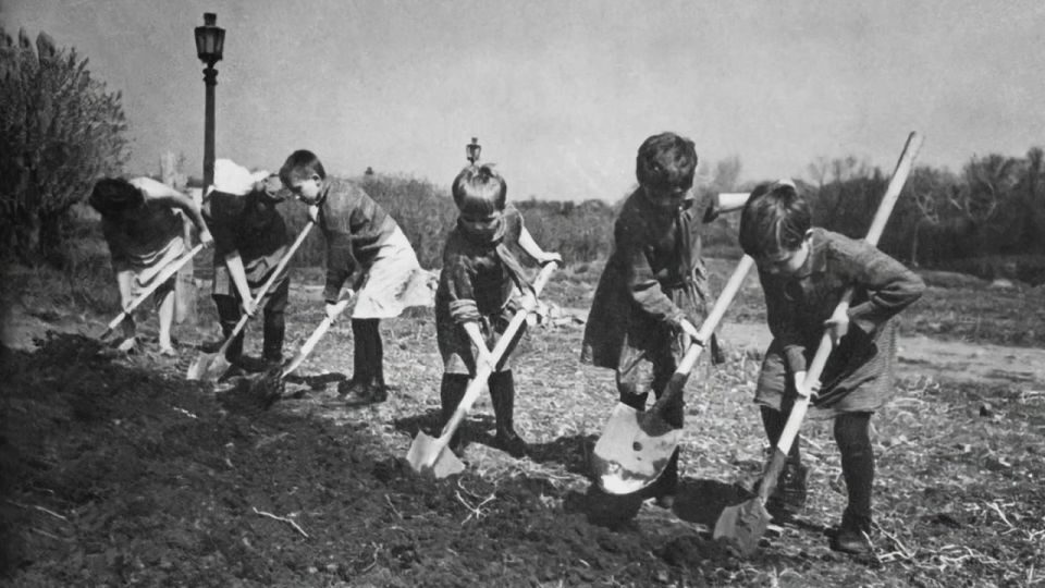 ������� ������������ ���������: ��������� �� ���������� ������� ���������� �� ������������� ��������, ������ ����� ���������� ���������