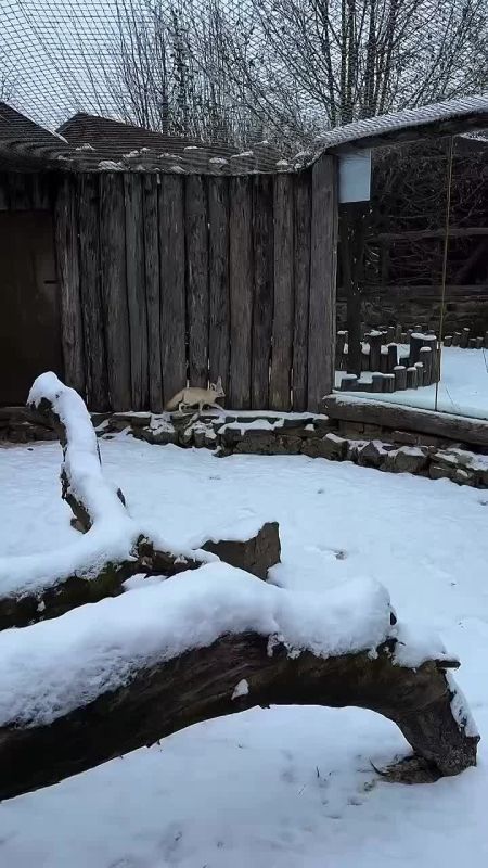 ��������� ���� � ��������. ������� ����������� ������� ������� ������ ������ � ������ ����� �� ����� ����� ��������� �� ������