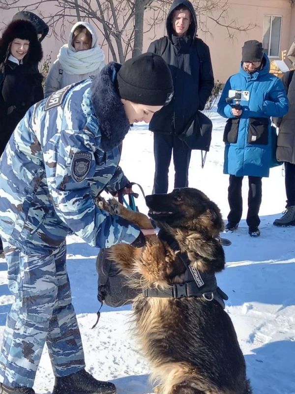 � ���������� ������ �����������-������� ������ ������� �� �����������